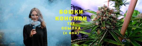СК Абинск