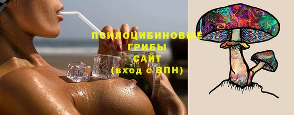 СК Абинск