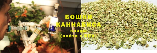 СК Абинск