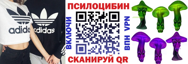 продажа наркотиков  Ангарск  Псилоцибиновые грибы GOLDEN TEACHER 